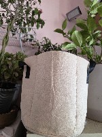 2gallon-container.jpg (150�200)