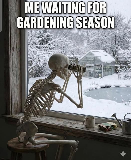 Skeleton - SprinngPlanting.jpg (523�640)
